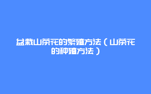 盆栽山茶花的繁殖方法（山茶花的种殖方法）