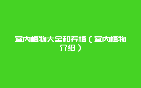 室内植物大全和养植（室内植物介绍）