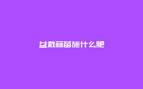 盆栽蒜苗施什么肥