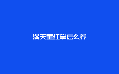 满天星红掌怎么养