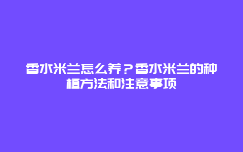 香水米兰怎么养？香水米兰的种植方法和注意事项