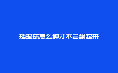 矮珍珠怎么种才不会飘起来