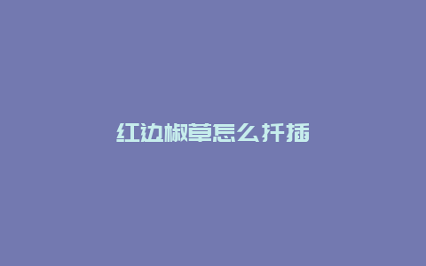 红边椒草怎么扦插