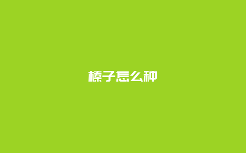 榛子怎么种