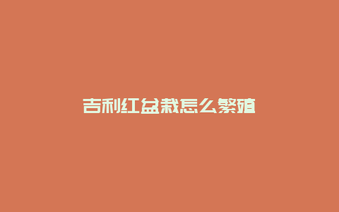 吉利红盆栽怎么繁殖