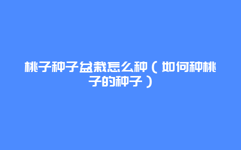 桃子种子盆栽怎么种（如何种桃子的种子）