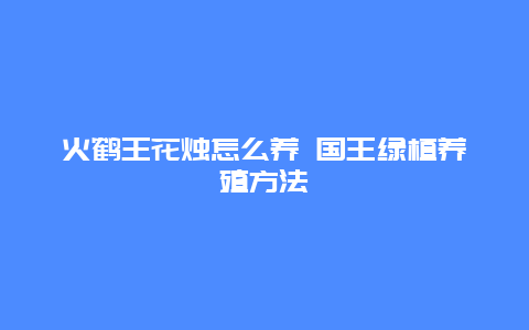 火鹤王花烛怎么养 国王绿植养殖方法