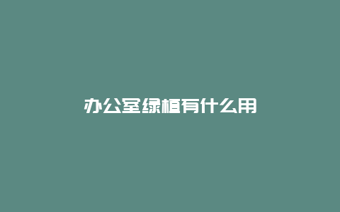 办公室绿植有什么用