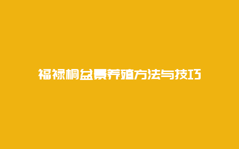 福禄桐盆景养殖方法与技巧