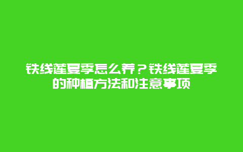 铁线莲夏季怎么养？铁线莲夏季的种植方法和注意事项