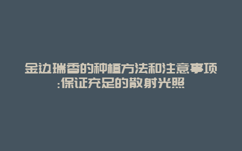 金边瑞香的种植方法和注意事项:保证充足的散射光照