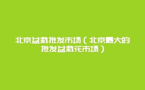 北京盆栽批发市场（北京最大的批发盆栽花市场）