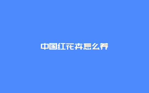 中国红花卉怎么养