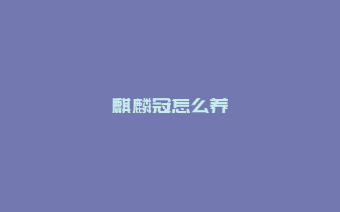 麒麟冠怎么养