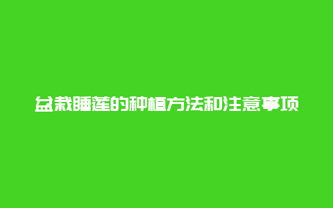 盆栽睡莲的种植方法和注意事项