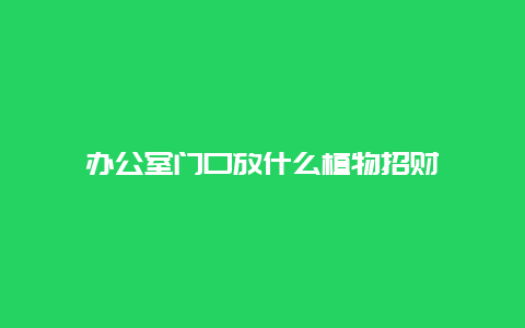 办公室门口放什么植物招财