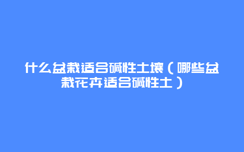 什么盆栽适合碱性土壤（哪些盆栽花卉适合碱性土）