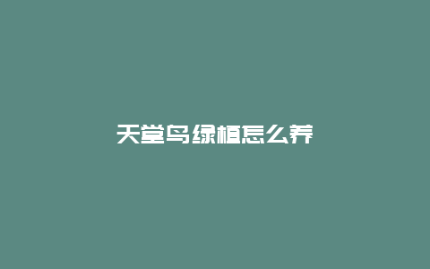 天堂鸟绿植怎么养