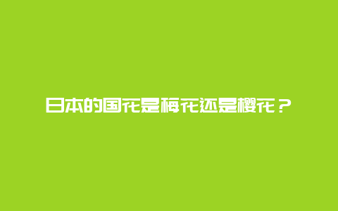 日本的国花是梅花还是樱花？