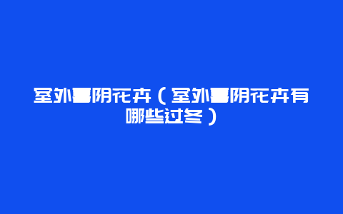 室外喜阴花卉（室外喜阴花卉有哪些过冬）