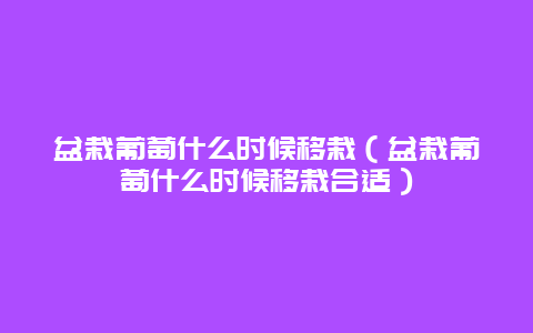 盆栽葡萄什么时候移栽（盆栽葡萄什么时候移栽合适）