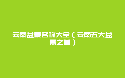 云南盆景名称大全（云南五大盆景之首）