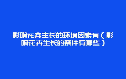 影响花卉生长的环境因素有（影响花卉生长的条件有哪些）