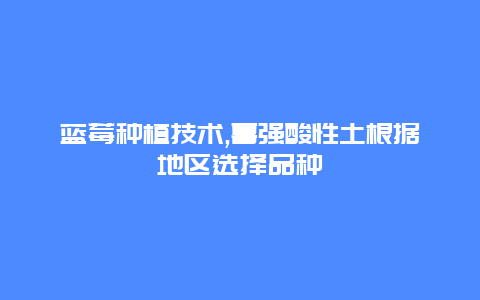 蓝莓种植技术,喜强酸性土根据地区选择品种