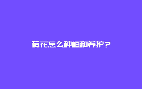 梅花怎么种植和养护？