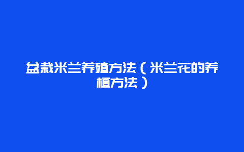 盆栽米兰养殖方法（米兰花的养植方法）