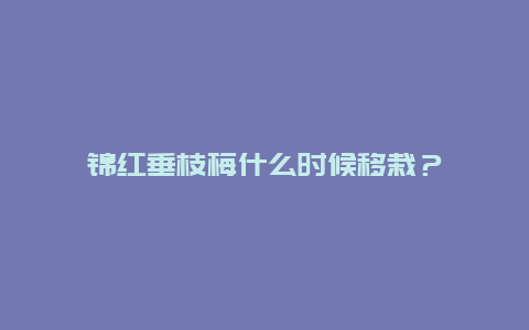 锦红垂枝梅什么时候移栽？