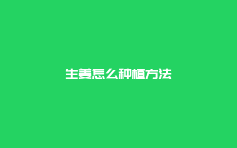 生姜怎么种植方法