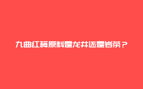 九曲红梅原料是龙井还是岩茶？