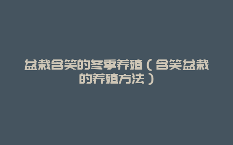 盆栽含笑的冬季养殖（含笑盆栽的养殖方法）