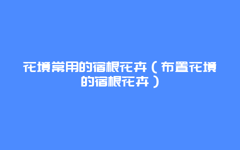 花境常用的宿根花卉（布置花境的宿根花卉）