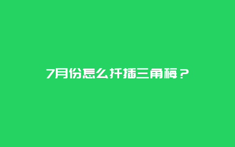 7月份怎么扦插三角梅？