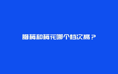 腊梅和梅花哪个档次高？