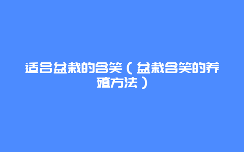 适合盆栽的含笑（盆栽含笑的养殖方法）