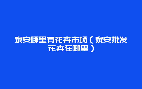 泰安哪里有花卉市场（泰安批发花卉在哪里）