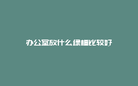 办公室放什么绿植比较好