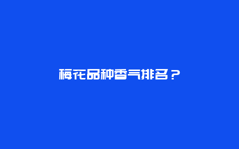 梅花品种香气排名？