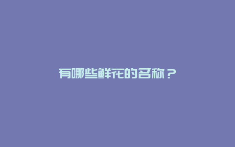 有哪些鲜花的名称？