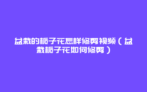 盆栽的栀子花怎样修剪视频（盆栽栀子花如何修剪）