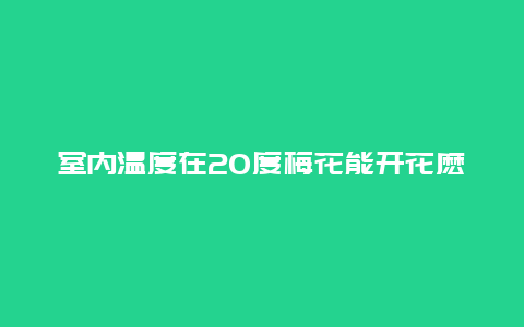 室内温度在20度梅花能开花麽