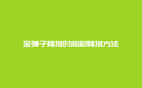 金弹子嫁接时间和嫁接方法