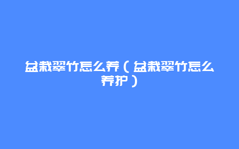 盆栽翠竹怎么养（盆栽翠竹怎么养护）