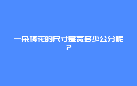 一朵梅花的尺寸是宽多少公分呢？