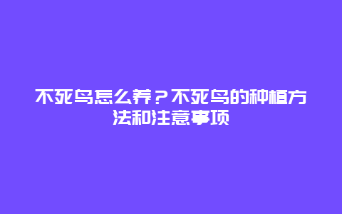 不死鸟怎么养？不死鸟的种植方法和注意事项