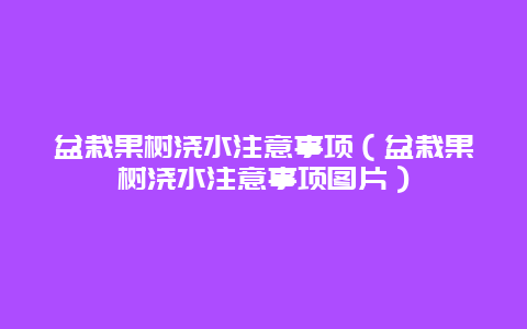 盆栽果树浇水注意事项（盆栽果树浇水注意事项图片）