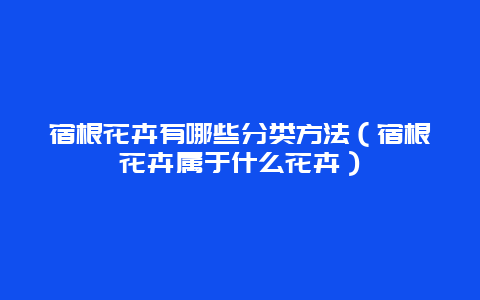 宿根花卉有哪些分类方法（宿根花卉属于什么花卉）